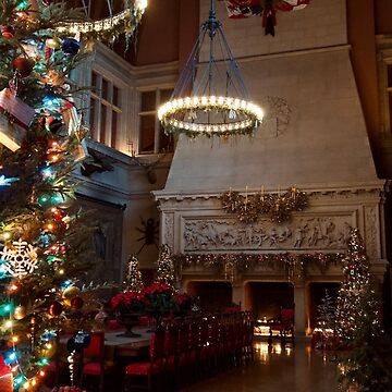 Artwork thumbnail, BILTMORE ESTATE CHRISTMAS TREE ASHEVILLE NORTH CAROLINA by teruyalab