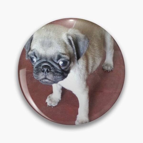 Item preview, Pug pickle designed and sold by Daniii-Arts.