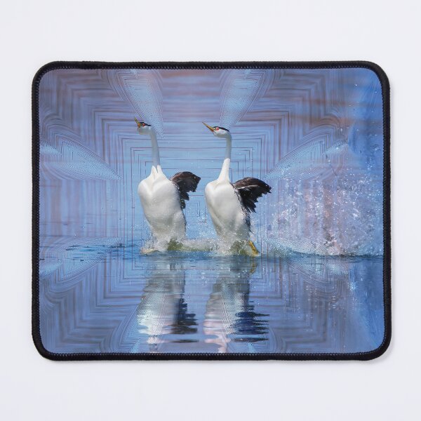 Item preview, Rushing Grebes Mating Ritual designed and sold by CarolM.