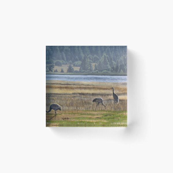 Item preview, Sandhills at Mountain Meadows designed and sold by sarahwildart.