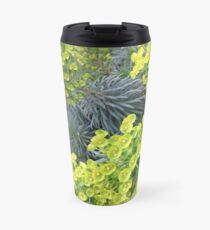 Euphorbia Thermobecher