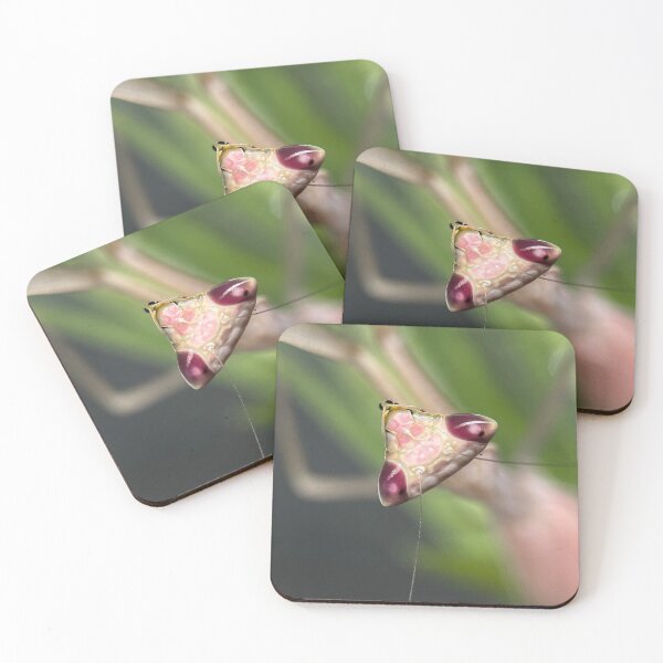 Item preview, Praying Mantis portrait designed and sold by Reptillery.