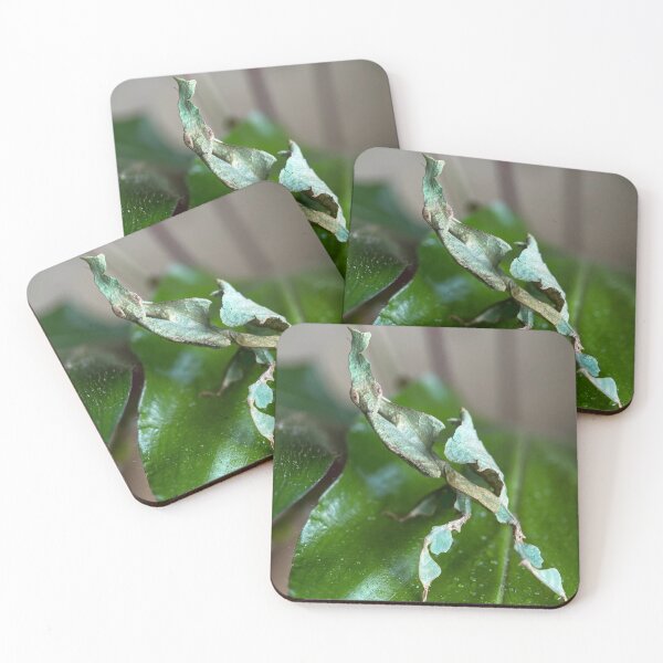 Item preview, Green Ghost Mantis designed and sold by Reptillery.