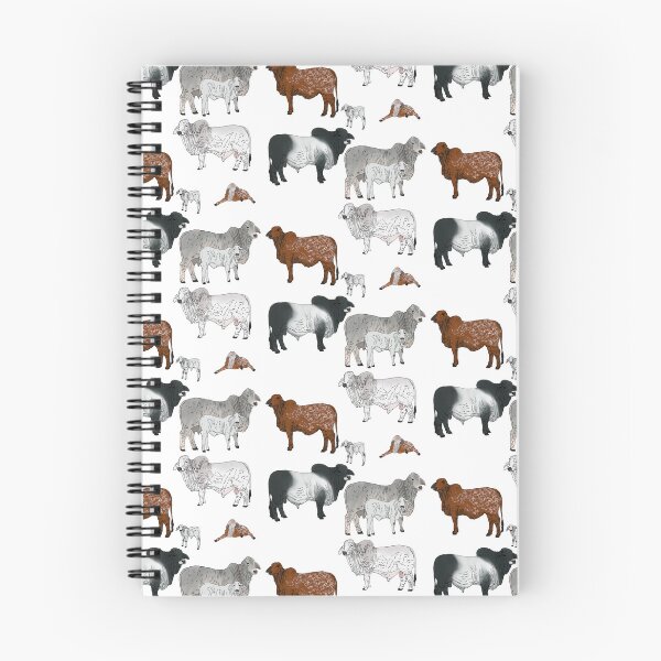 Item preview, Brahman Cattle Transparent designed and sold by Ashley Gagnon.