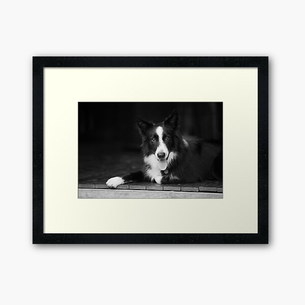 Vista previa del artículo con la obra «Perro en Mono», diseñado y vendido por Jacqueline Hammer.