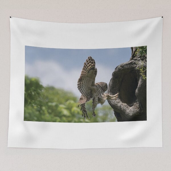 Item preview, Precision Landing designed and sold by Puttaswamy Ravishankar.