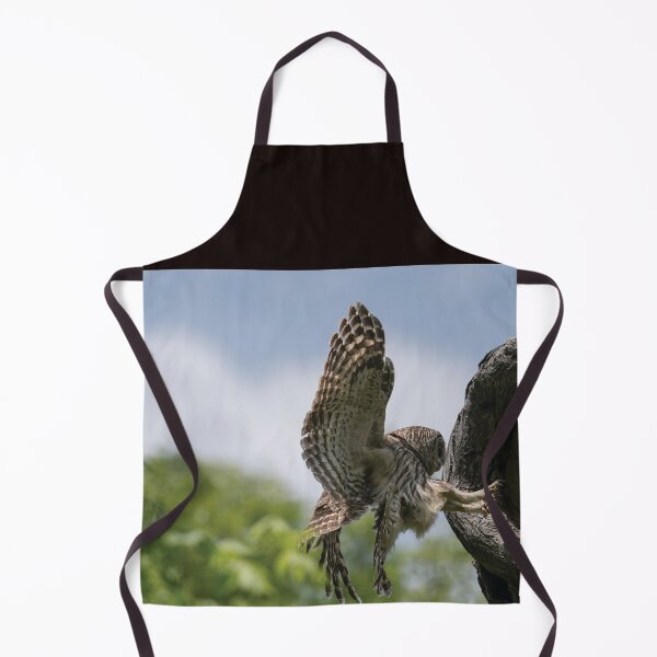 Item preview, Precision Landing designed and sold by Puttaswamy Ravishankar.