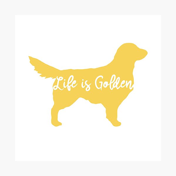 Life is Golden Photographic Print