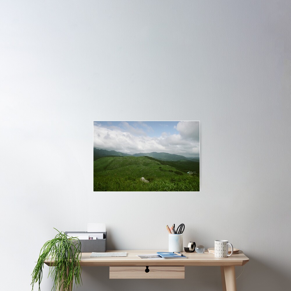 Item preview, Poster designed and sold by adamayokuy.