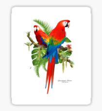 Scharlachrot Ara Sticker