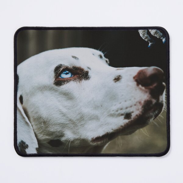 Item preview, space experience | dog designed and sold by lilsatschnt.