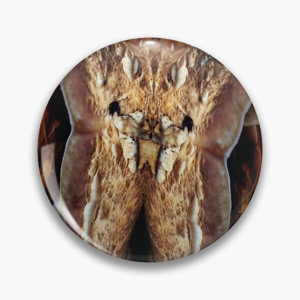 Item preview, Inquisitive designed and sold by Yampimon.