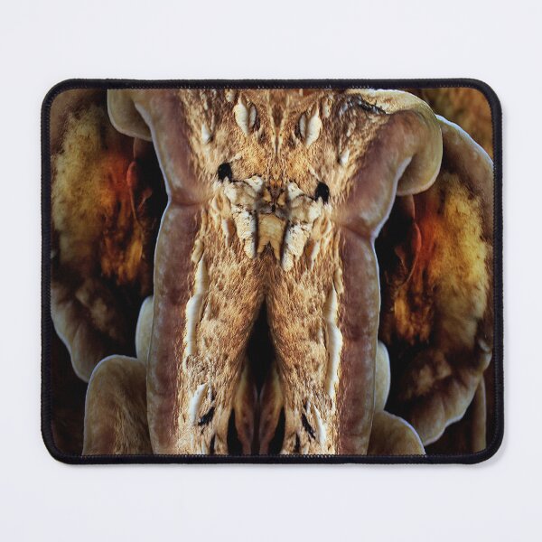Item preview, Inquisitive designed and sold by Yampimon.
