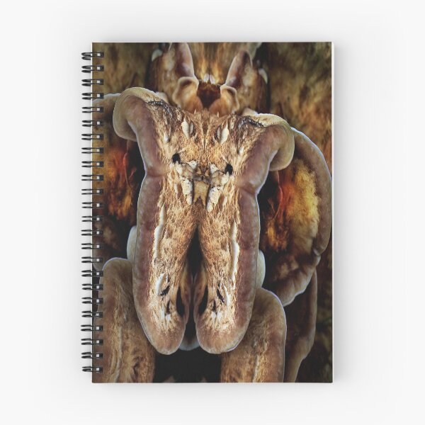 Item preview, Inquisitive designed and sold by Yampimon.