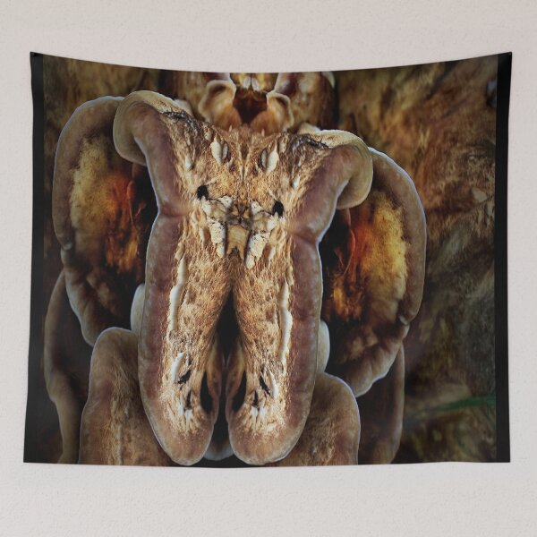 Item preview, Inquisitive designed and sold by Yampimon.