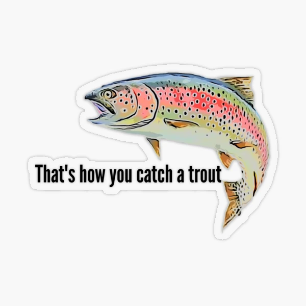 Trout Fish Fishing Stickers - 2 Pack of 3 Stickers - Waterproof Vinyl for  Car, Phone, Water Bottle, Laptop - Trout Decals (2-Pack)