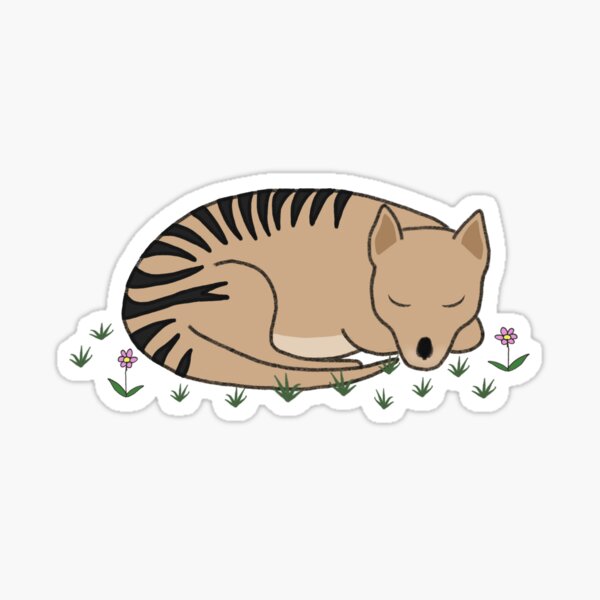 Item preview, Thylacine Sleeping designed and sold by Rob Price.