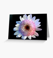 Petite Flower Greeting Card