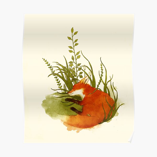 Fox Sleeping Poster