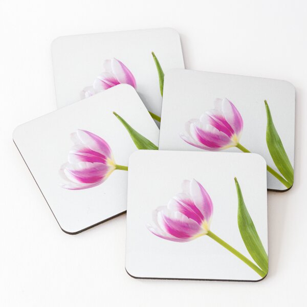 Item preview, A Pink And White Tulipa designed and sold by Tanya C  Smith.