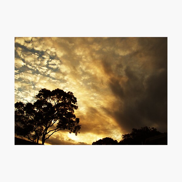 Item preview, sunset 25 november 2008 designed and sold by adamsown.