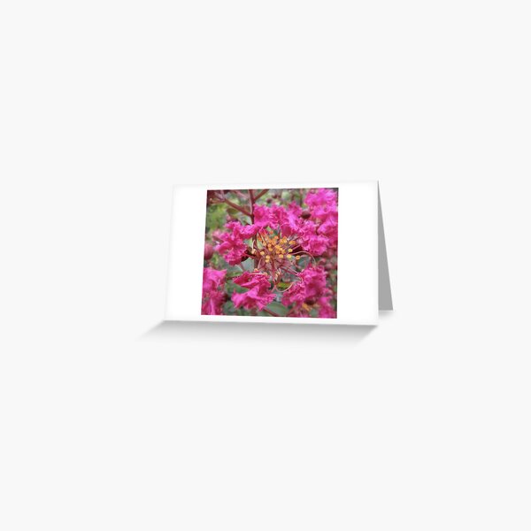 Vista previa del artículo con la obra «Crepe Myrtle», diseñado y vendido por bannercgtl10.