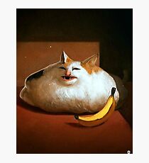 Banana Cat Photographic Print