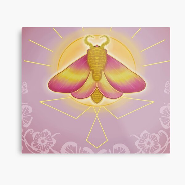 Rosy the Faerie Rosy Maple Moth – Jackie Harder Art