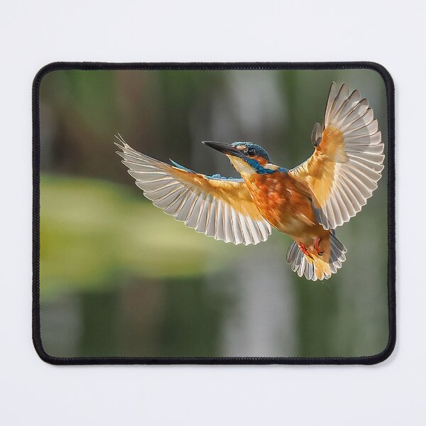Item preview, kingfisher flight designed and sold by AliMarleyPhoto.
