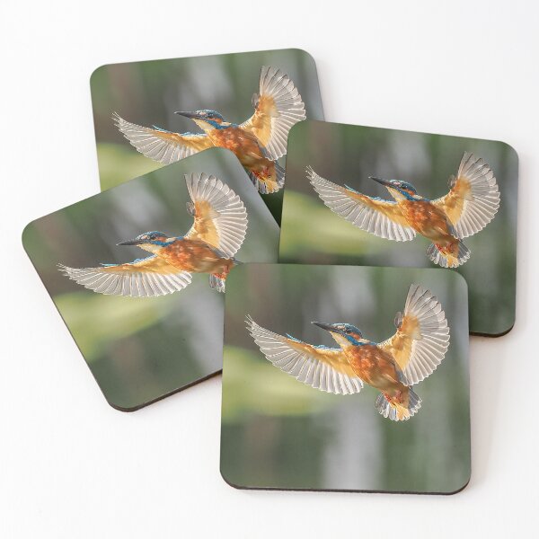 Item preview, kingfisher flight designed and sold by AliMarleyPhoto.
