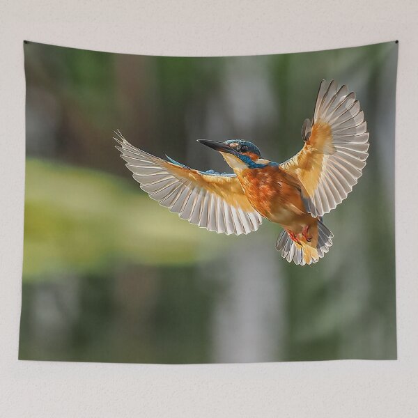 Item preview, kingfisher flight designed and sold by AliMarleyPhoto.