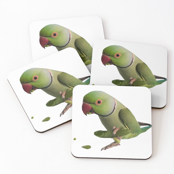 Item preview, Indian Ringneck Eating Sugarsnap Pea designed and sold by Lixxie22.