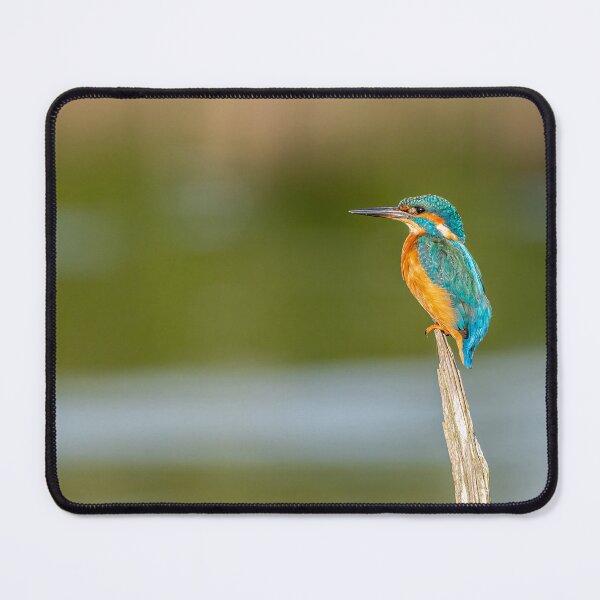 Item preview, kingfisher perch designed and sold by AliMarleyPhoto.