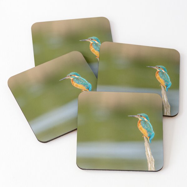 Item preview, kingfisher perch designed and sold by AliMarleyPhoto.