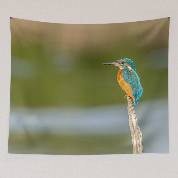 Item preview, kingfisher perch designed and sold by AliMarleyPhoto.