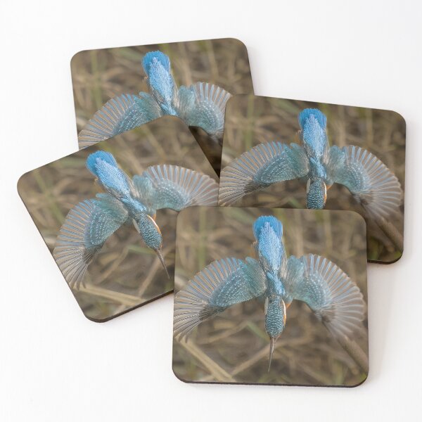 Item preview, kingfisher dive designed and sold by AliMarleyPhoto.