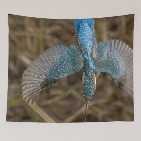 Item preview, kingfisher dive designed and sold by AliMarleyPhoto.