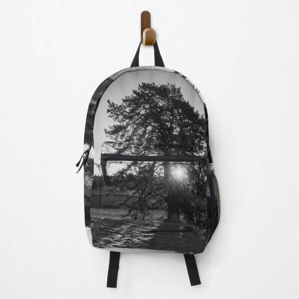 Item preview, Sunrise and a pine at Sarkkila bw designed and sold by Jouko Lehto Photography.