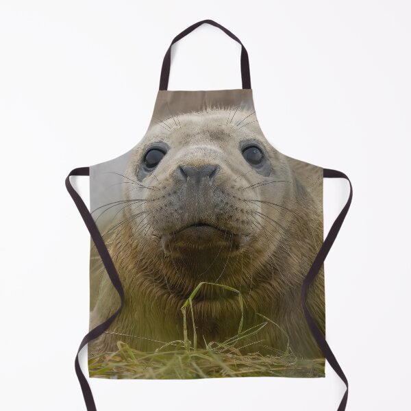 Item preview, Grey seal pup designed and sold by AliMarleyPhoto.