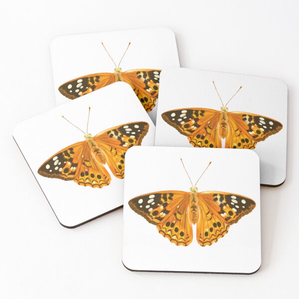 Item preview, Painted Lady Butterfly Illustration (Vanessa cardui) designed and sold by ModelOrganism.