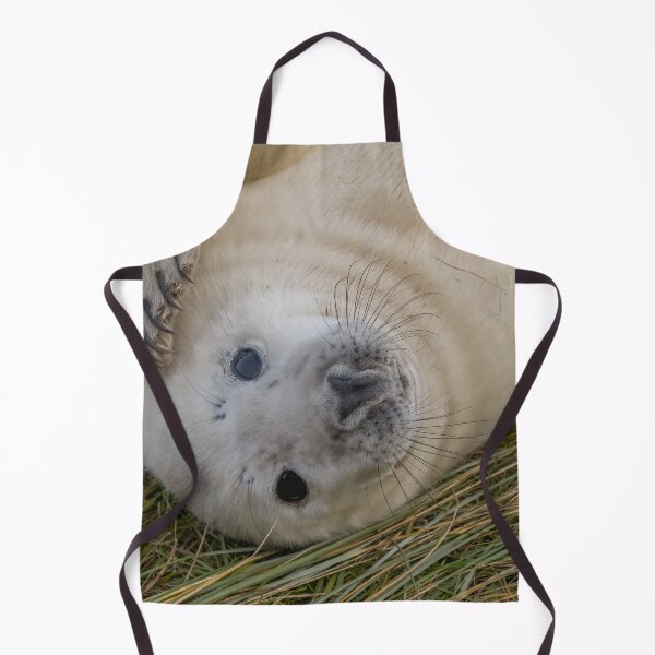 Item preview, Grey seal pup designed and sold by AliMarleyPhoto.