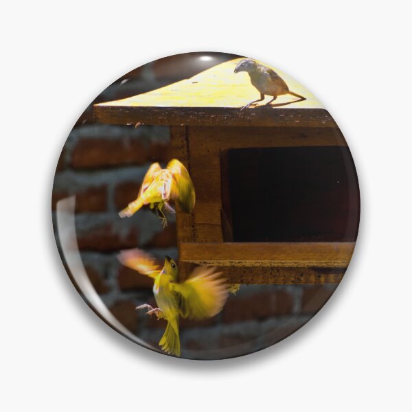 Item preview, An Aerial Battle At The Feeder designed and sold by alabca.