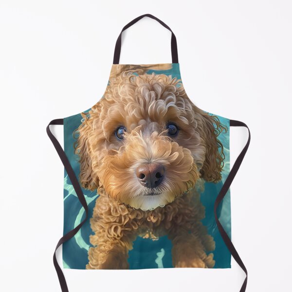 Item preview, Cute Cavoodle in pool! designed and sold by Cavoodle-Land.