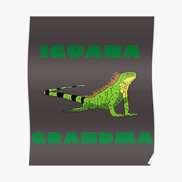 Funny Iguana Posters for Sale | Redbubble Funny Iguana Posters for Sale | Redbubble