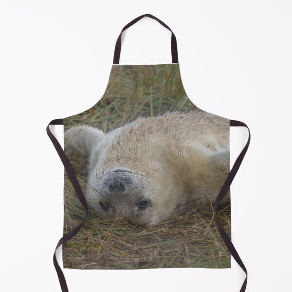 Item preview, Grey seal pup designed and sold by AliMarleyPhoto.
