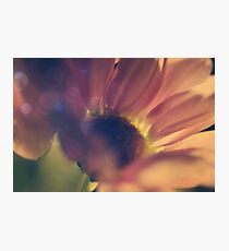 Flower Photographic Print