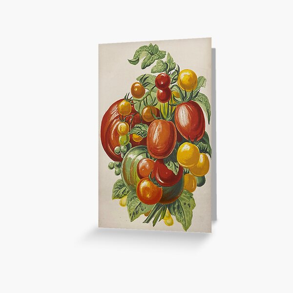 Item preview, Varieties of Tomatoes from "Floral World and Garden Guide" designed and sold by Lloyd Library & Museum.