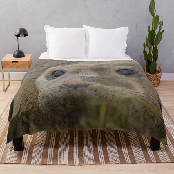 Item preview, Grey seal pup designed and sold by AliMarleyPhoto.