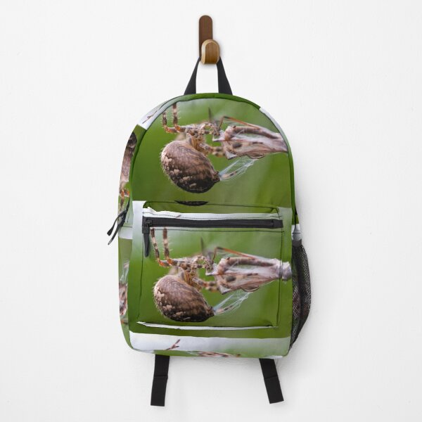 Item preview, Dinner designed and sold by Paul Thompson Photography.