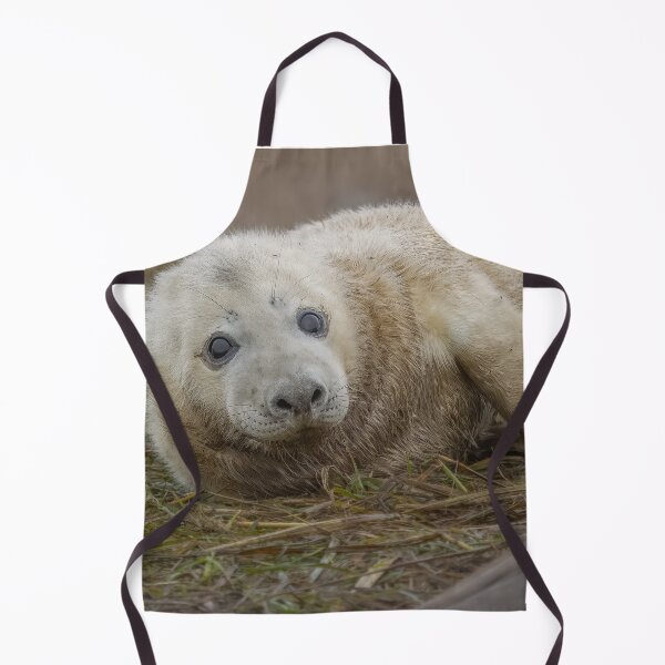Item preview, Grey seal pup designed and sold by AliMarleyPhoto.